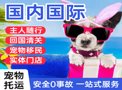 阿克苏红旗坡机场货运国际宠物托运 【国